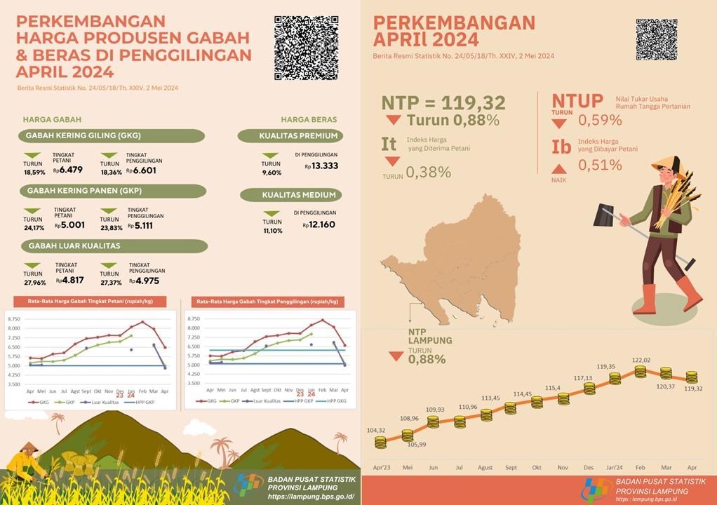 Lampung Province's NTP in April 2024 was 119.32 or an decrease of 0,88 percent. GKP prices at farmer level decrease 24,17 percent and premium rice prices at mills decrease 9,60 percent.