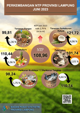 Perkembangan Nilai Tukar Petani Provinsi Lampung Juni 2023