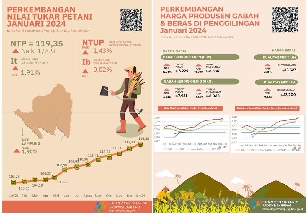 Lampung Province's NTP in January 2024 was 119.35 or an increase of 1.90 percent while GKG prices at farmer level rose 6.64 percent and premium rice prices at mills rose 2.26 percent